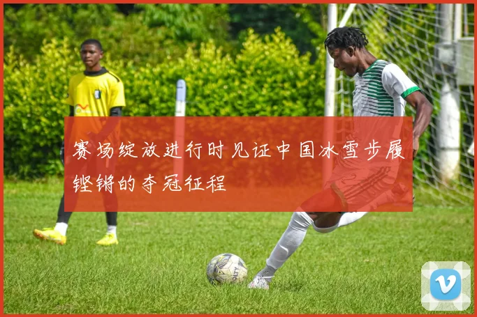 赛场绽放进行时见证中国冰雪步履铿锵的夺冠征程